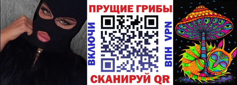Псилоцибиновые грибы мицелий  блэк спрут как зайти  Анапа 